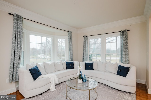 living room with ornamental molding, wood finished floors, and baseboards