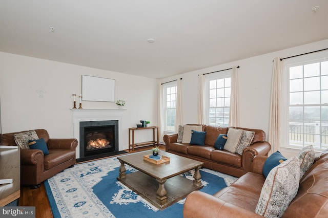 living area featuring a fireplace with flush hearth and wood finished floors