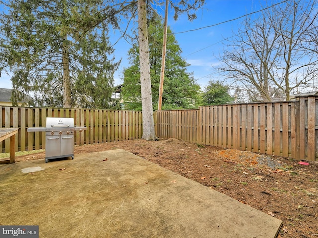 view of yard with a patio and a fenced backyard