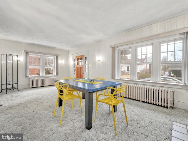 carpeted dining area with radiator