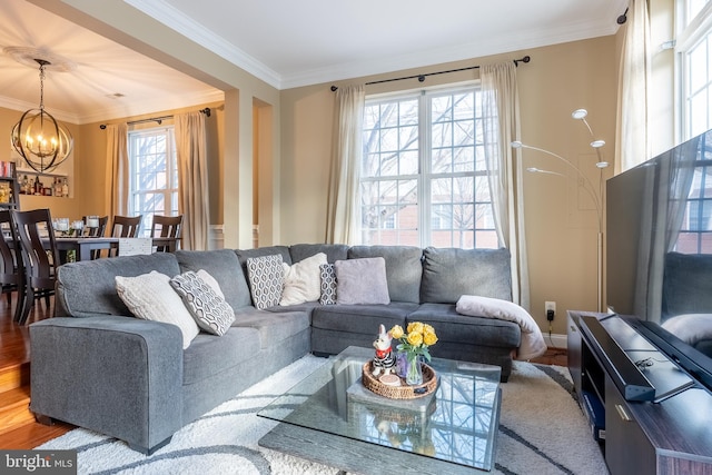 living room featuring ornamental molding, a chandelier, and wood finished floors