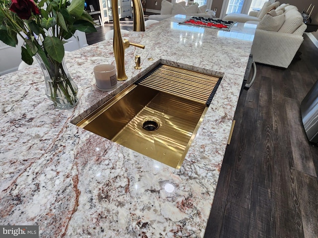 details featuring dark wood-type flooring and a sink