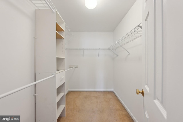 walk in closet with light colored carpet