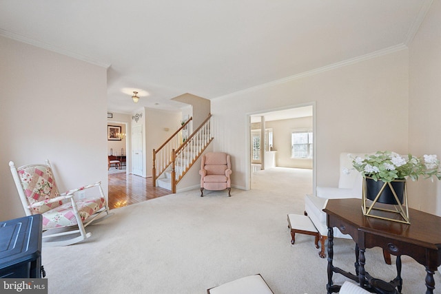 sitting room with stairs, ornamental molding, and carpet flooring