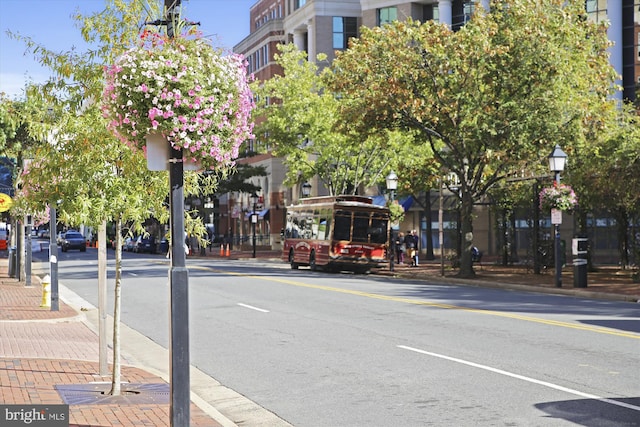 view of road featuring curbs, street lighting, and sidewalks