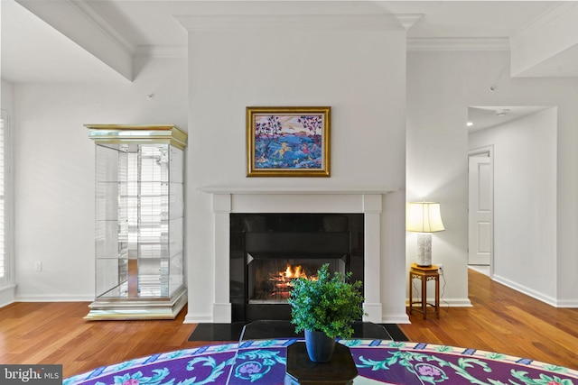 living room featuring a fireplace with flush hearth, wood finished floors, baseboards, and ornamental molding