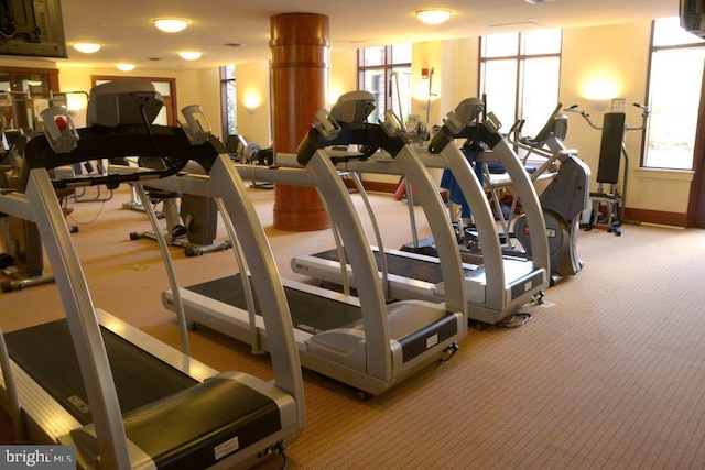 workout area featuring carpet flooring