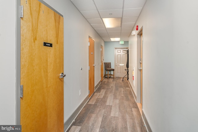 hall with a paneled ceiling, baseboards, and wood finished floors