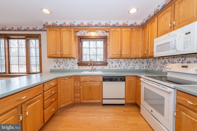 kitchen featuring light wood finished floors, white appliances, light countertops, and a sink