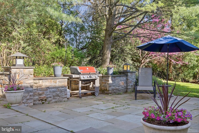 view of patio / terrace with exterior kitchen and a grill
