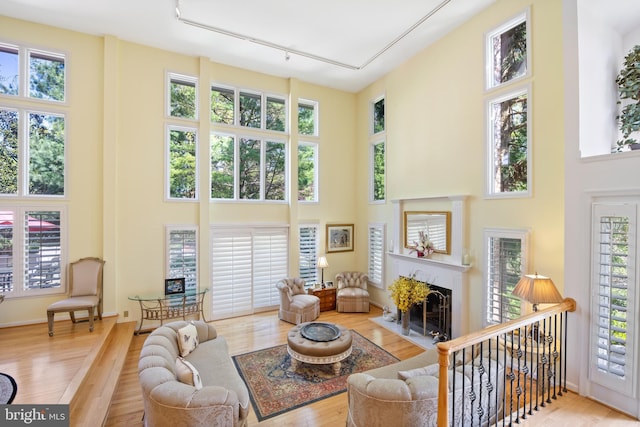 living room with wood finished floors, baseboards, track lighting, a towering ceiling, and a premium fireplace
