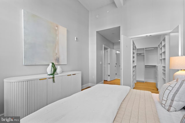 bedroom featuring wood finished floors, baseboards, radiator heating unit, a spacious closet, and a closet