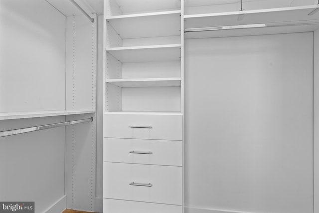 view of walk in closet