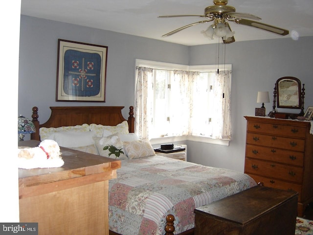 bedroom with ceiling fan