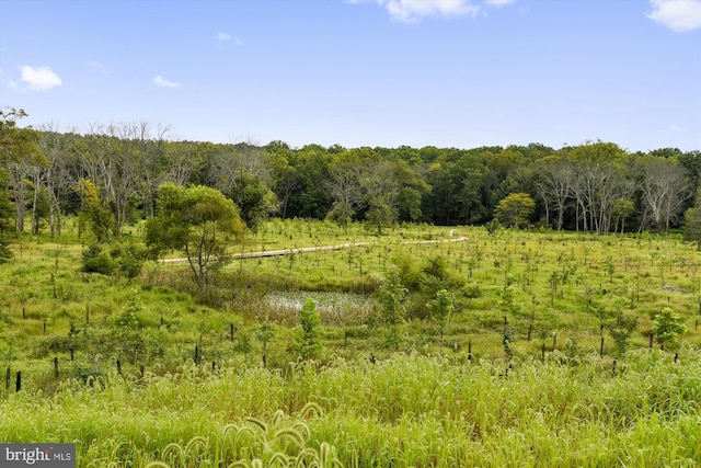 view of local wilderness with a wooded view