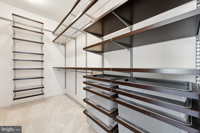 spacious closet with carpet flooring