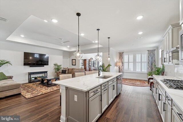 kitchen with a tray ceiling, appliances with stainless steel finishes, open floor plan, and a sink