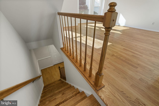 stairway featuring wood finished floors