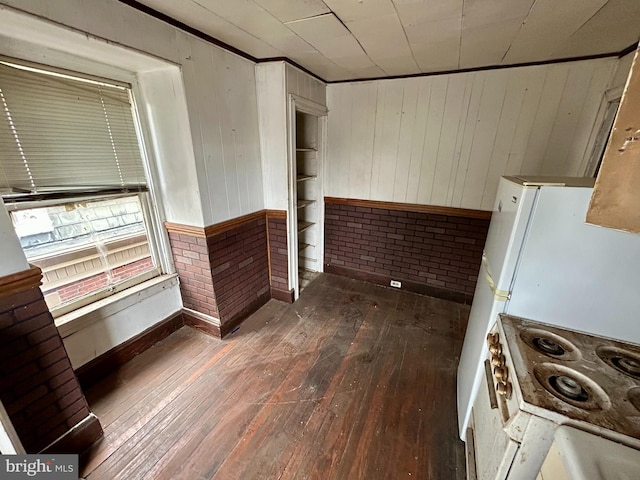 spare room featuring ornamental molding, dark wood-style flooring, and wooden walls