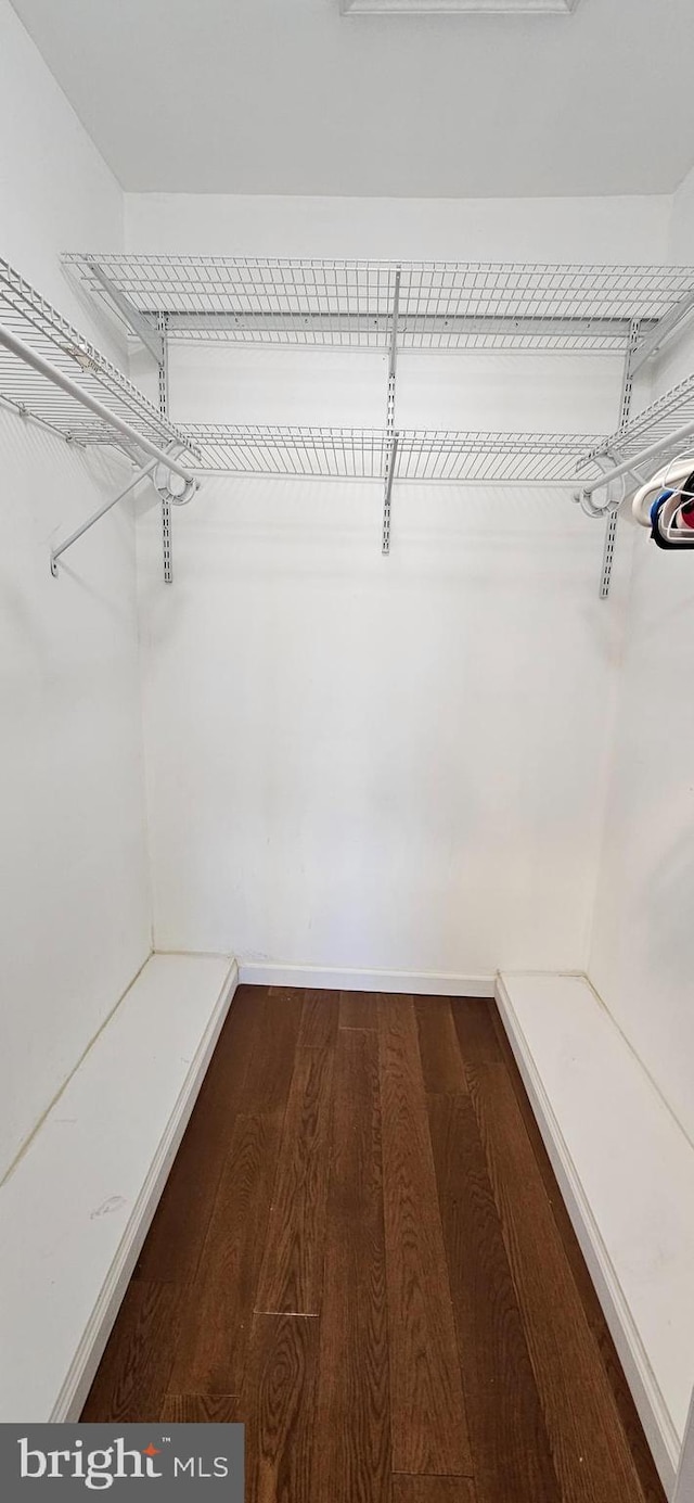 walk in closet with wood finished floors