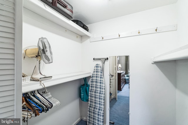 spacious closet with carpet flooring