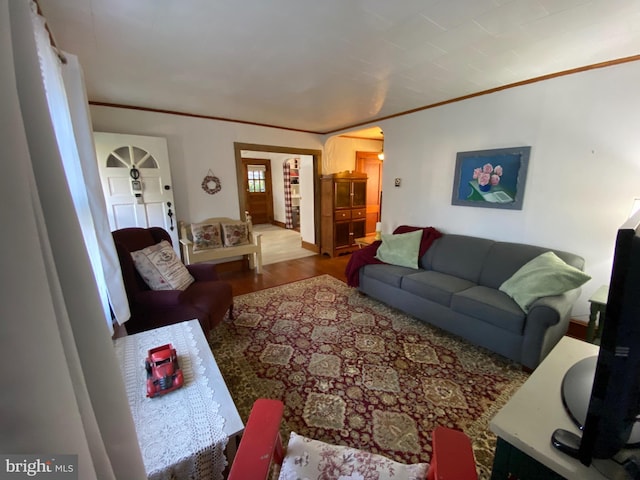 living room featuring ornamental molding and wood finished floors