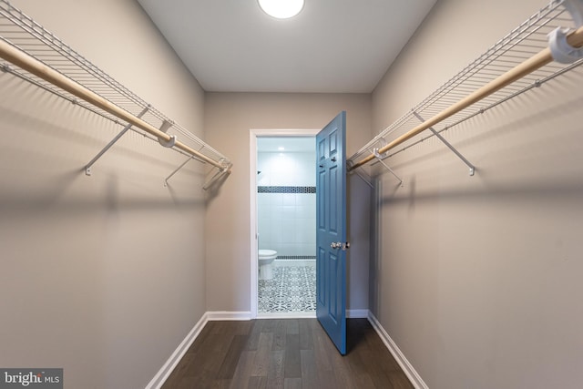 walk in closet with dark wood finished floors