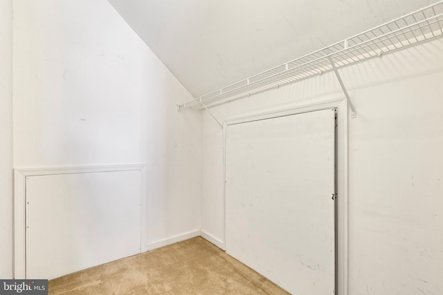 spacious closet with light carpet