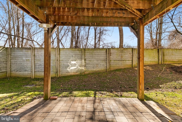 view of yard featuring a patio and a fenced backyard