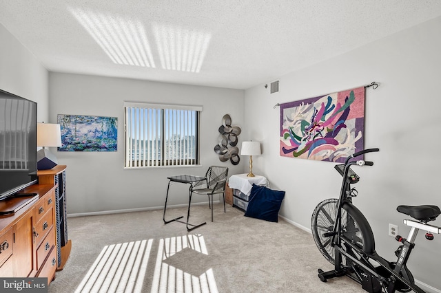 exercise room featuring carpet floors, visible vents, a textured ceiling, and baseboards