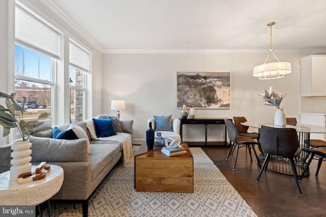 living room featuring baseboards, ornamental molding, and dark wood-style flooring