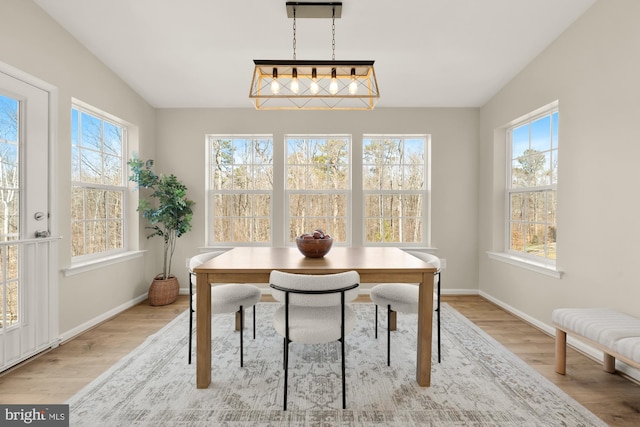 dining room with a wealth of natural light, baseboards, and wood finished floors