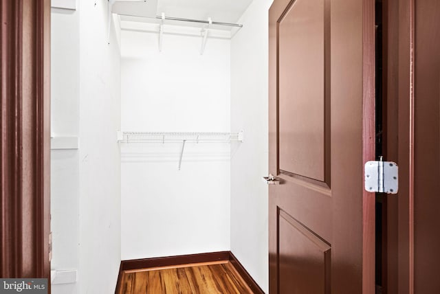 walk in closet featuring wood finished floors