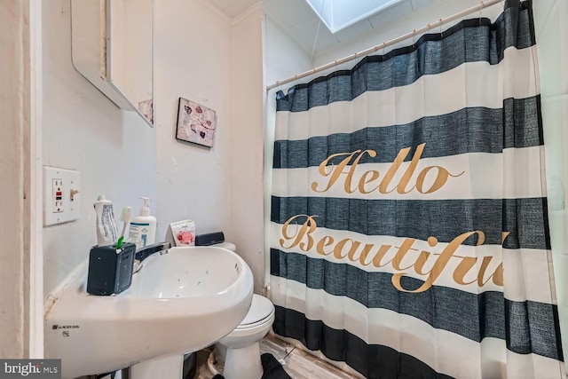 full bath featuring toilet, a sink, and a shower with shower curtain