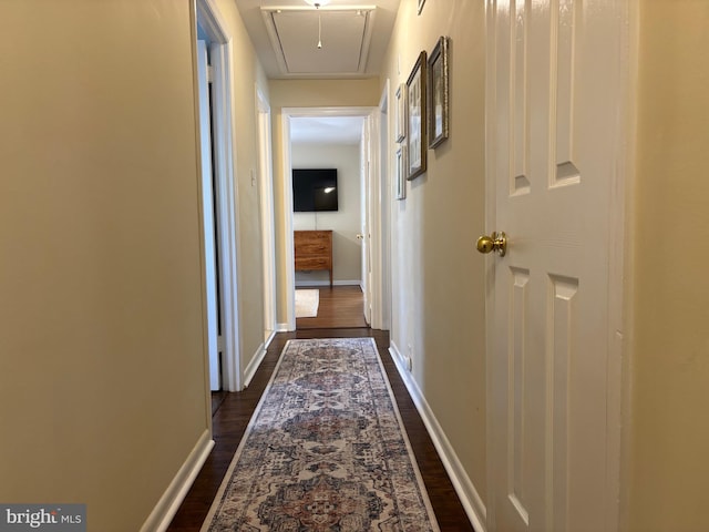 corridor featuring attic access, baseboards, and dark wood-style flooring