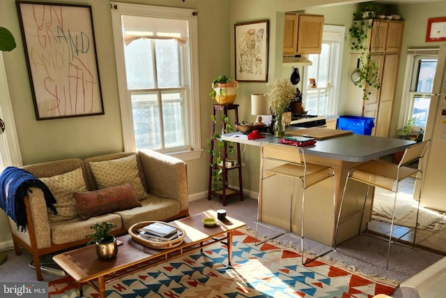 interior space with plenty of natural light and baseboards