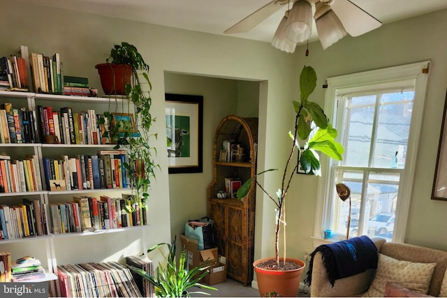 living area with a ceiling fan