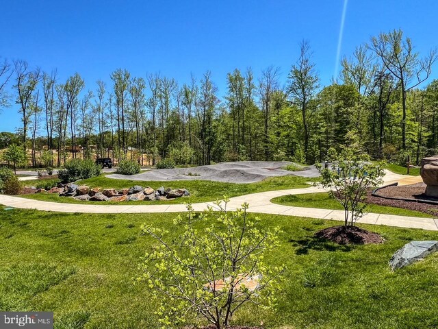 view of community featuring a lawn
