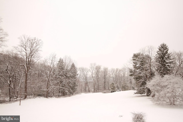 view of snowy yard