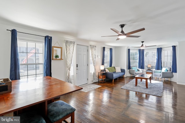 living area featuring ornamental molding and wood finished floors