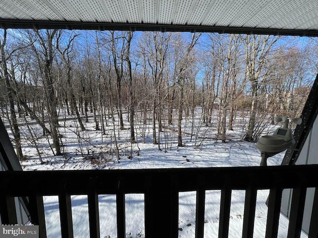 view of yard covered in snow