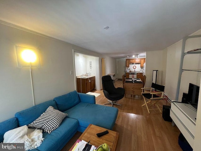 living area featuring wood finished floors and rail lighting