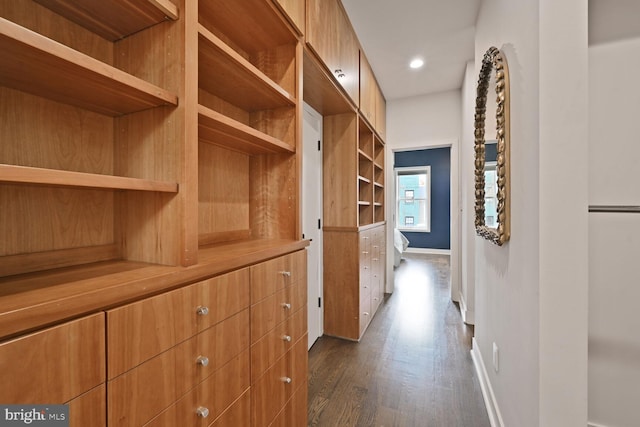 walk in closet with dark wood finished floors