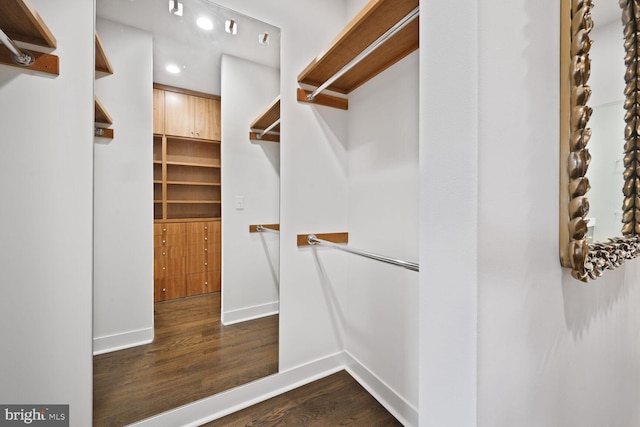 walk in closet with dark wood-style flooring