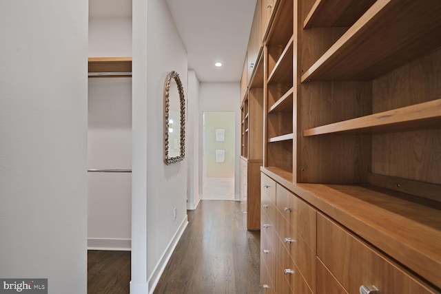 walk in closet featuring dark wood-type flooring