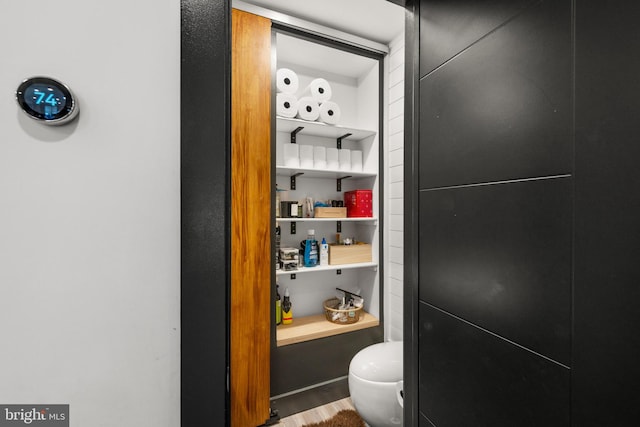 interior space with toilet