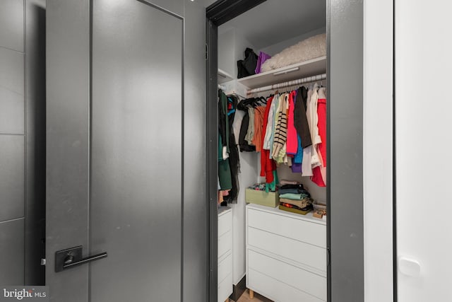 view of closet