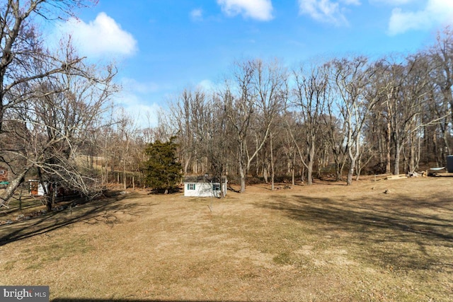 view of yard featuring a storage unit and an outbuilding