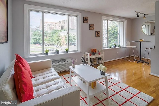 living area featuring arched walkways, wood finished floors, baseboards, a wall mounted air conditioner, and rail lighting