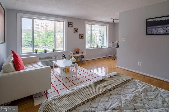 living area featuring baseboards, a textured ceiling, and wood finished floors